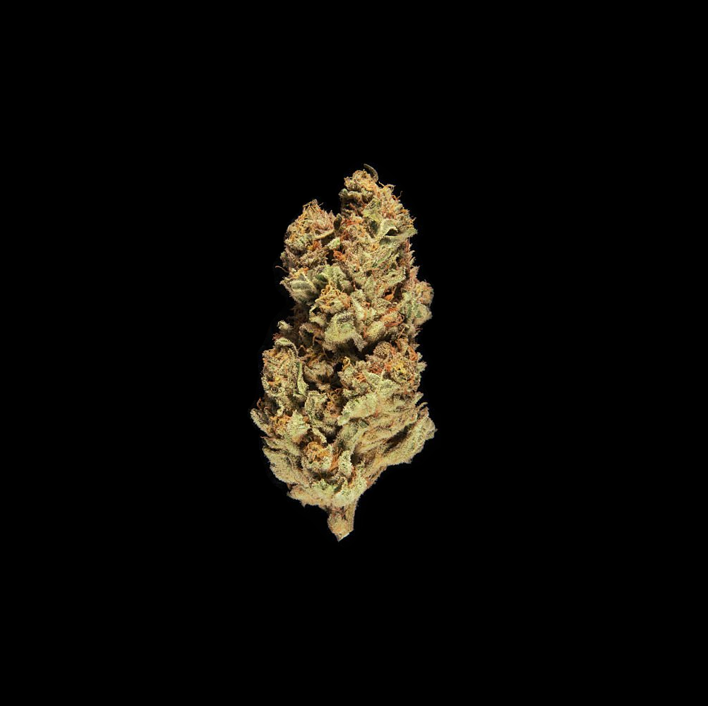 Fleur de CBD Blueberry Muffin