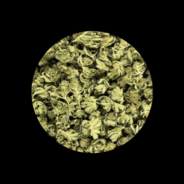 Mini Buds Limoncello