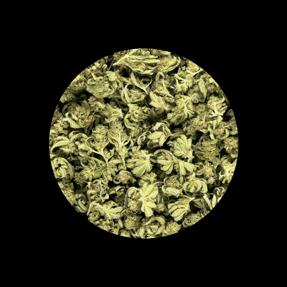Mini Buds Limoncello