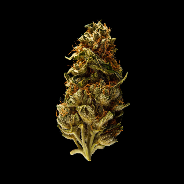 Fleur de CBD Limoncello