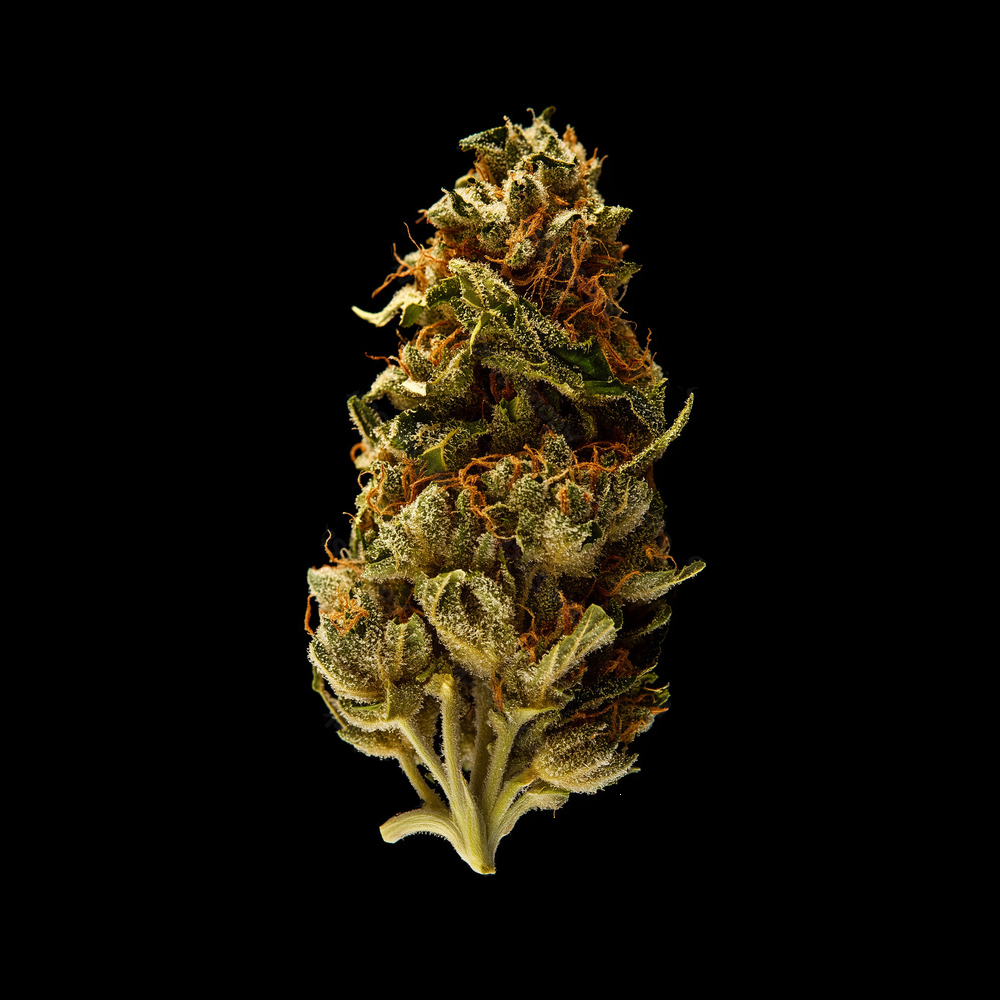 Fleur de CBD Limoncello