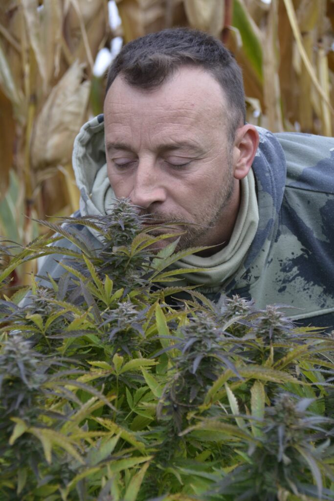 Aucune description alternative pour cette image